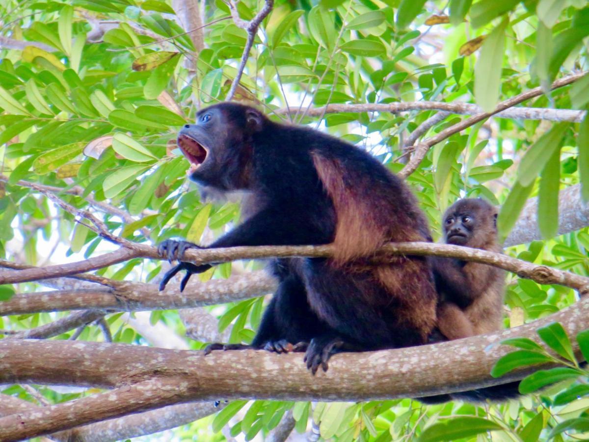 Villa Ometepe Merida Bagian luar foto